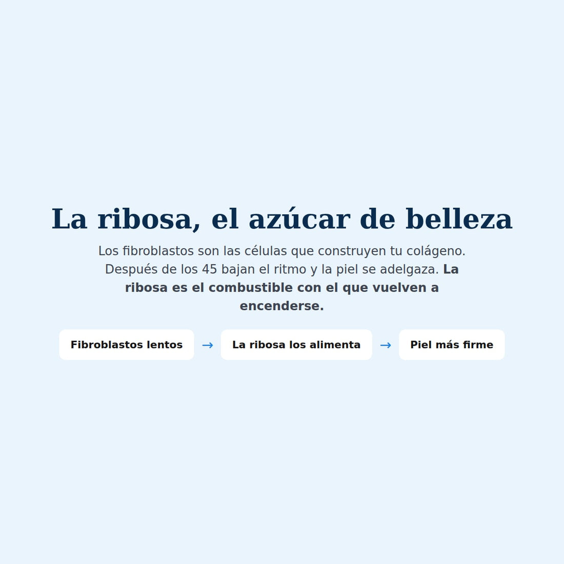 Cómo funciona la ribosa sobre los fibroblastos